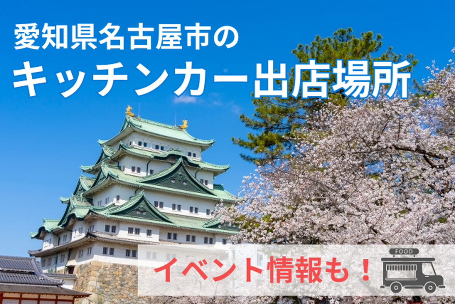 画像28746